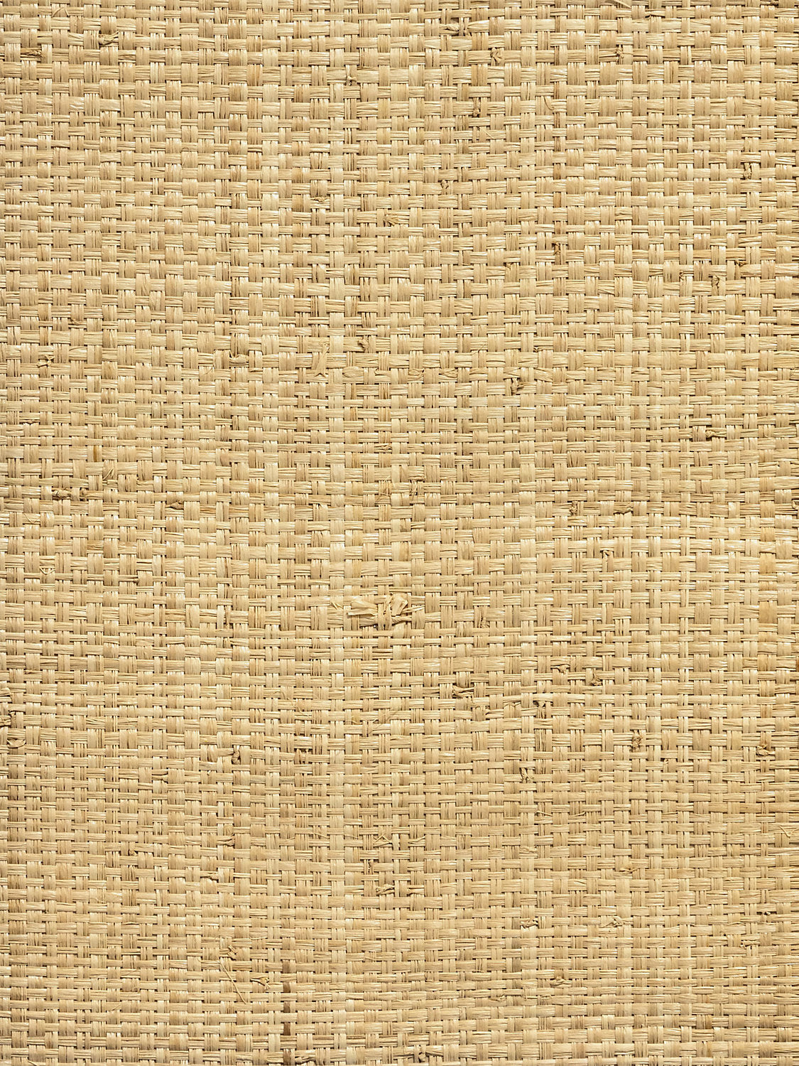 Hinson Madagascar - Grand - Natural - Scalamandre Wallpaper
