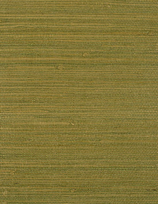 Montego - Moss - WINFIELD THYBONY Wallpaper