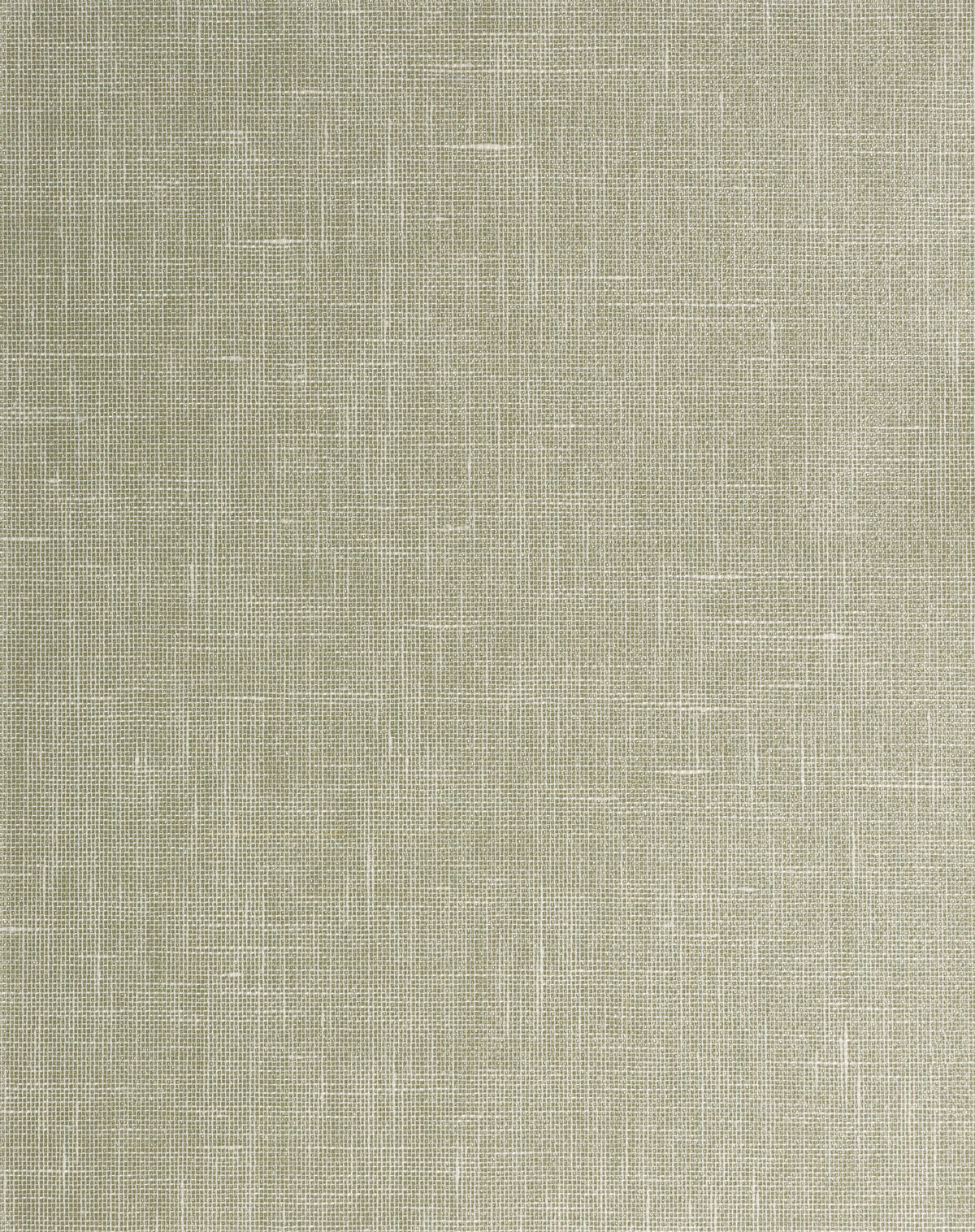 Lido - Pine - Winfield Thybony Wallpaper