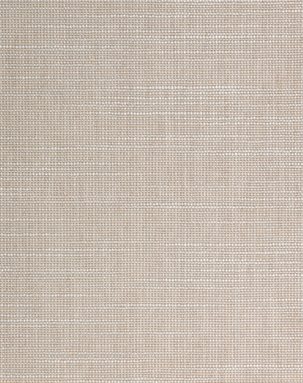 Nuvoloso - Birch - Winfield Thybony Wallpaper