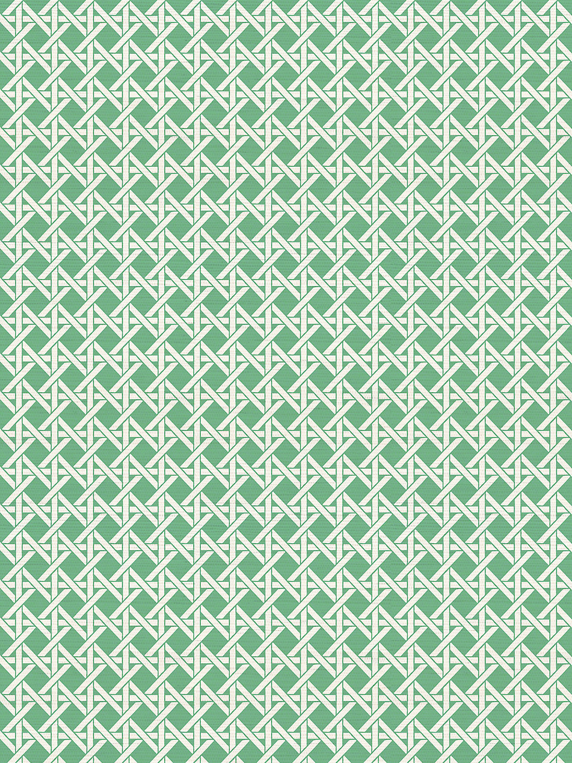Devon Weave - Trousdale