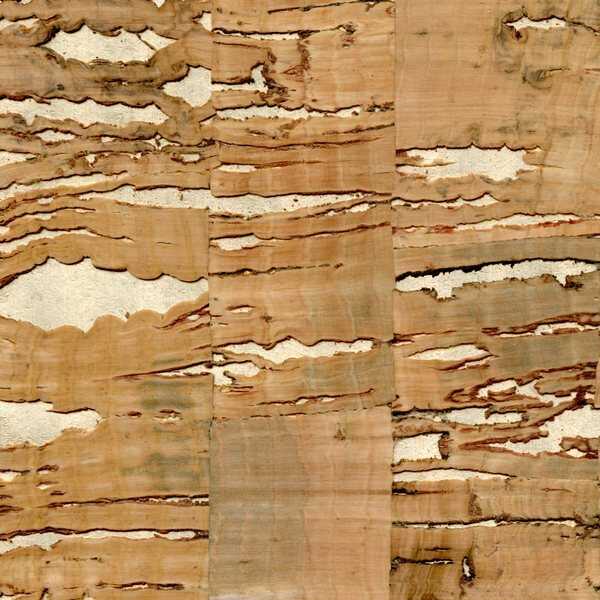 Gaudi - - WINFIELD THYBONY Wallpaper