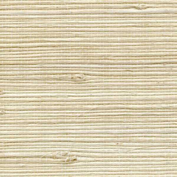 Petite Bengali - - WINFIELD THYBONY Wallpaper