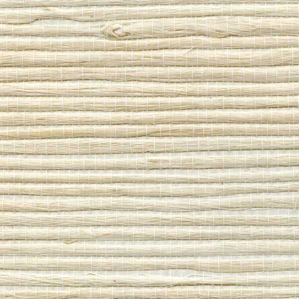 Bengali - - WINFIELD THYBONY Wallpaper