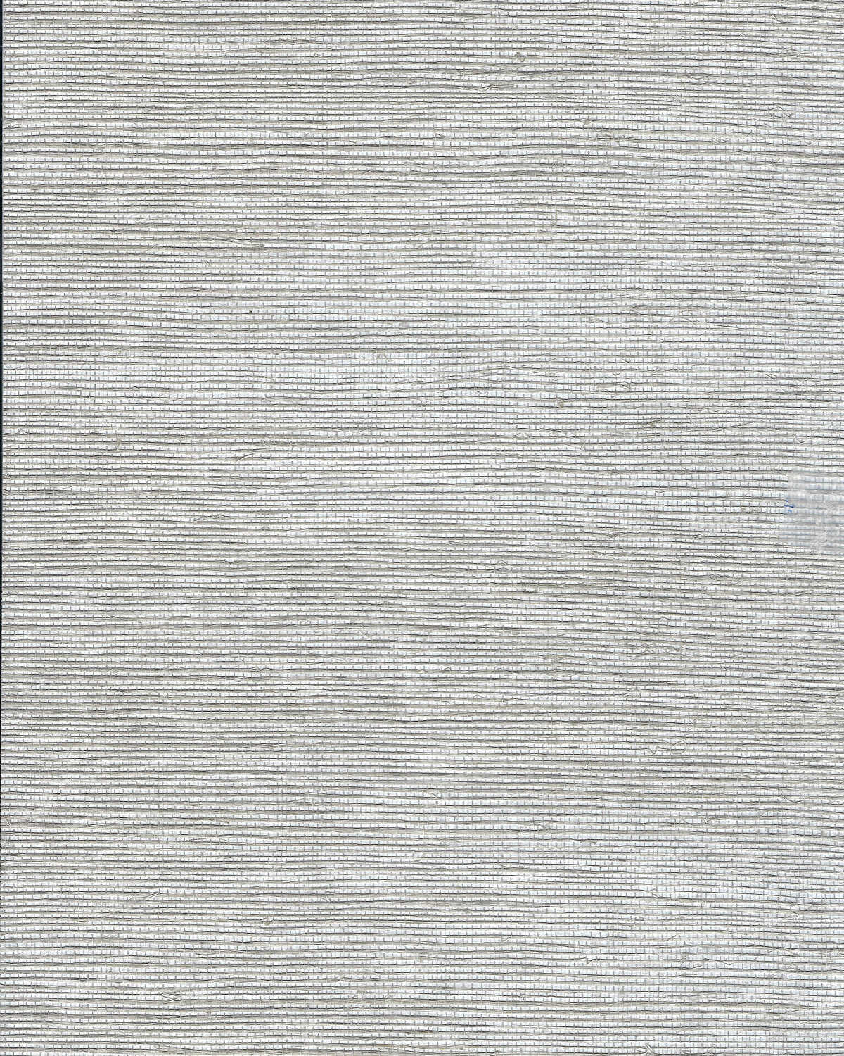 Chiyo Gilded - Pewter - WINFIELD THYBONY Papel pintado
