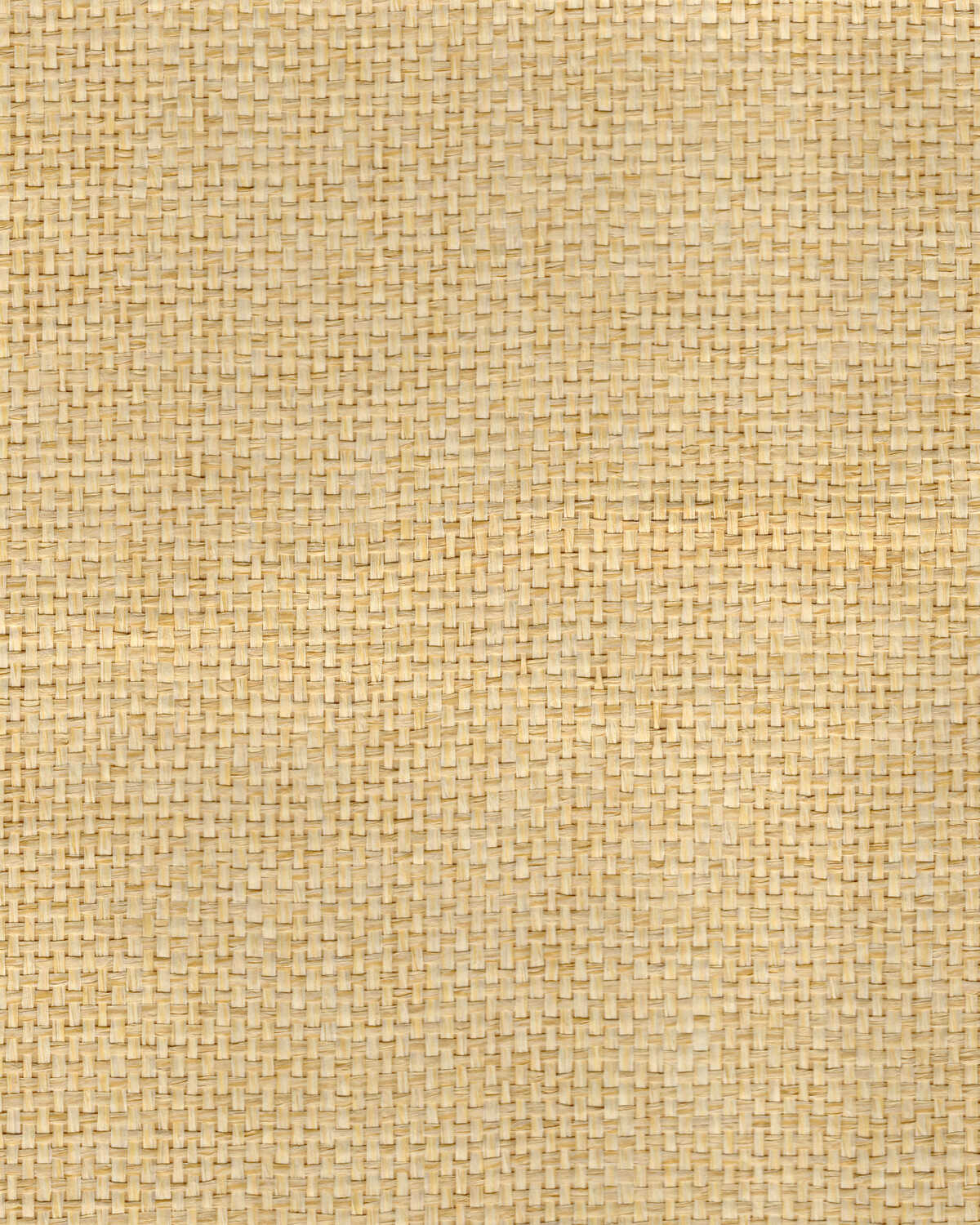 Noshi Weave - Natural - WINFIELD THYBONY Papel pintado