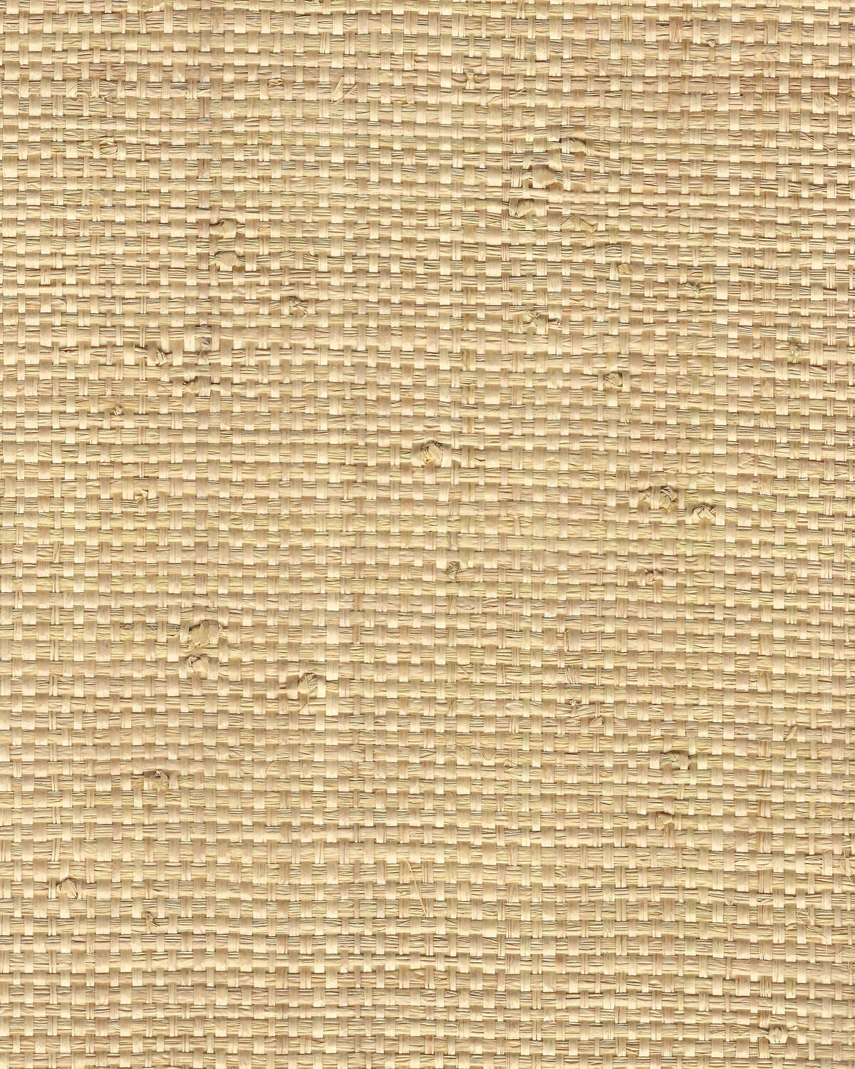 Kiko Weave - Natural - WINFIELD THYBONY Papel pintado