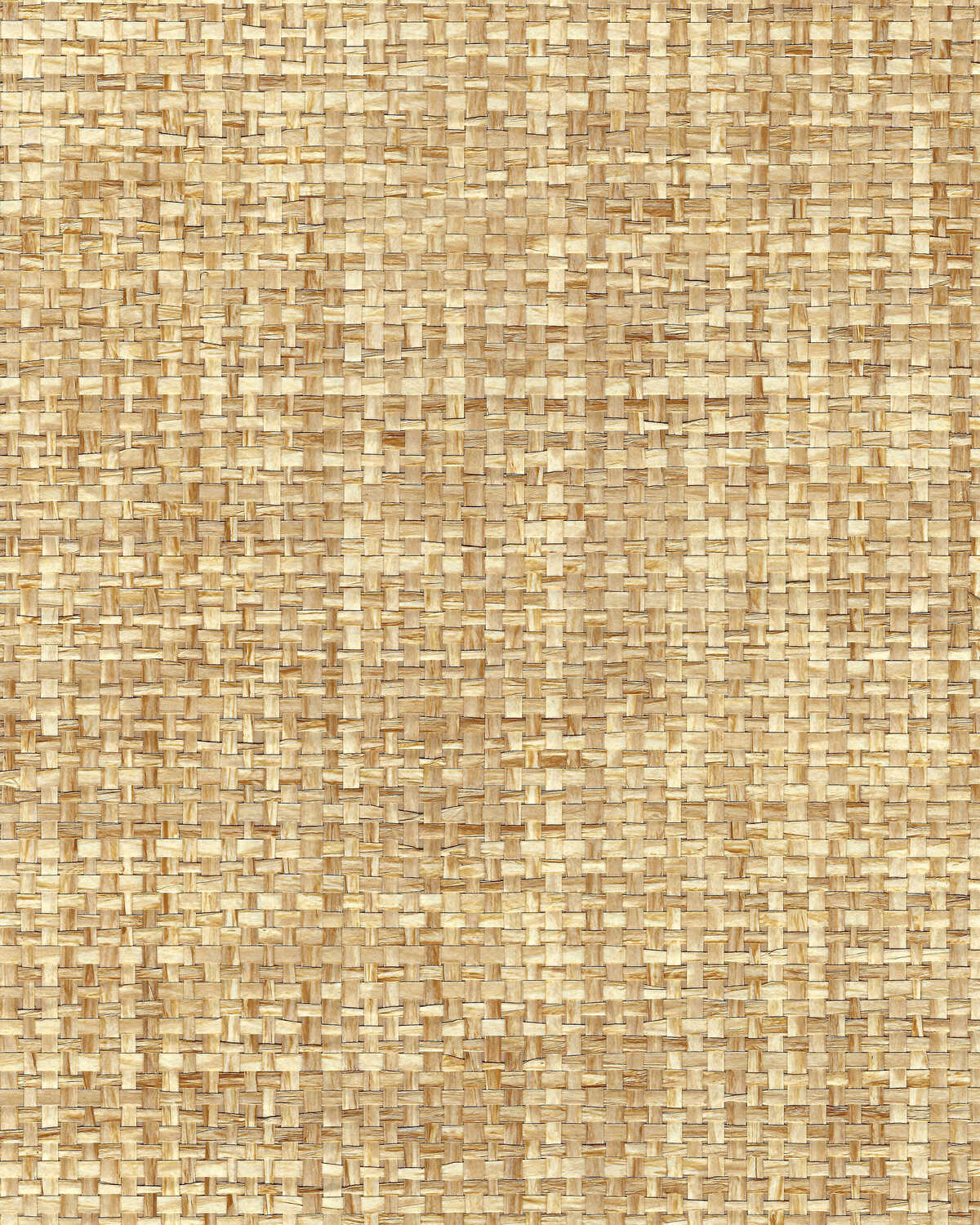 Sachi Weave - Natural - WINFIELD THYBONY Papel pintado