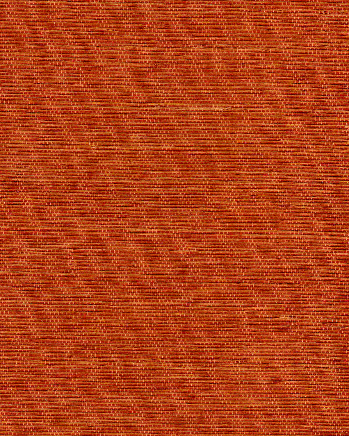 Chiyo Sisal - Tangerine - WINFIELD THYBONY Papel pintado