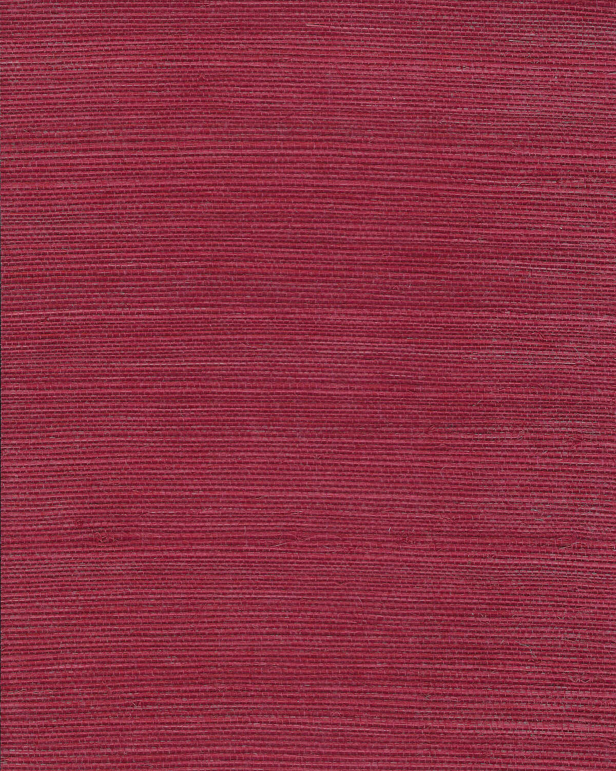 Chiyo Sisal - Scarlet - WINFIELD THYBONY Papel pintado