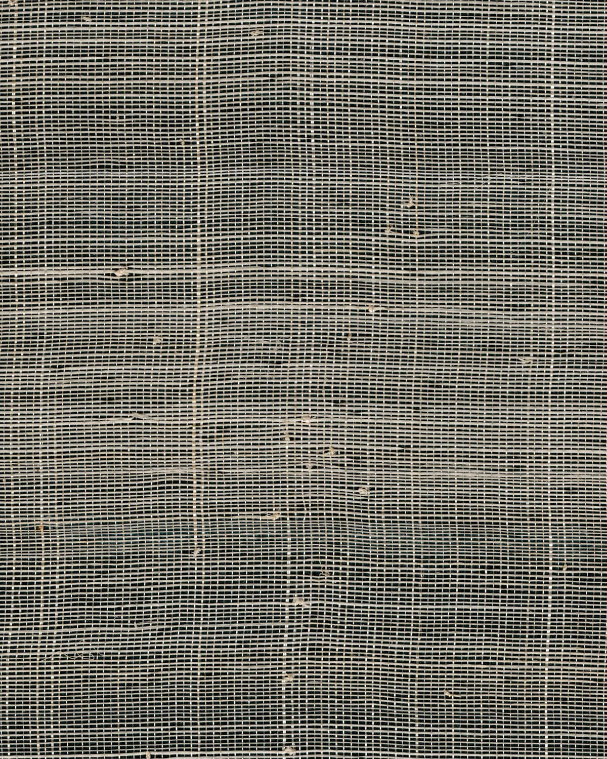 Sarashi Weave - Smoke - WINFIELD THYBONY Papel pintado