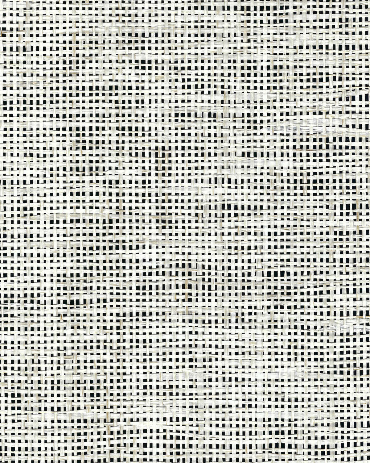 Sarashi Paper Weave - Noir - WINFIELD THYBONY Papel pintado