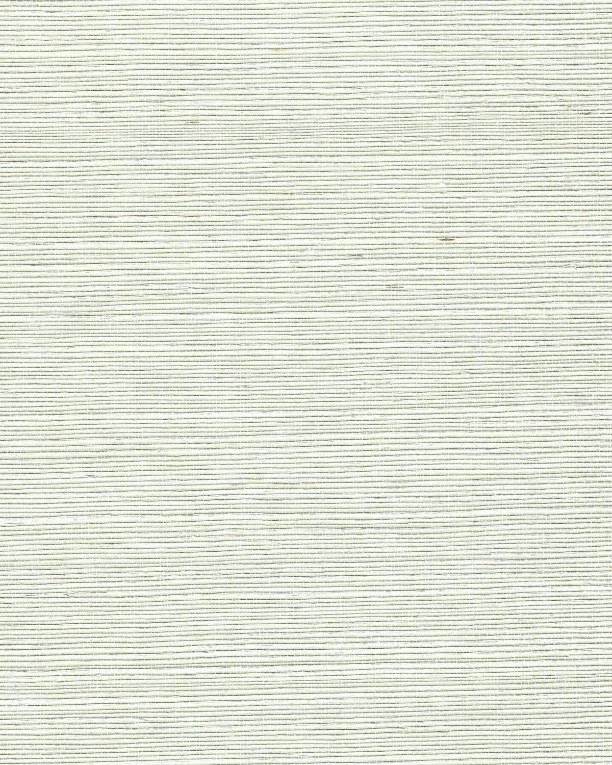 Chiyo Sisal - Hint Of Green - WINFIELD THYBONY Papel pintado