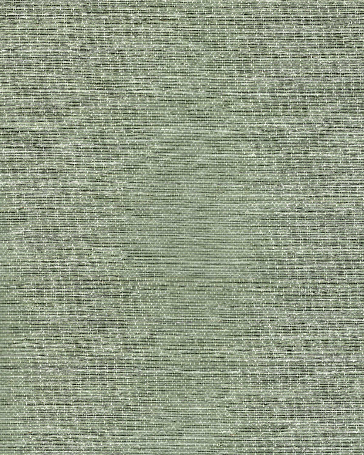 Chiyo Sisal - Sprig - WINFIELD THYBONY Papel pintado