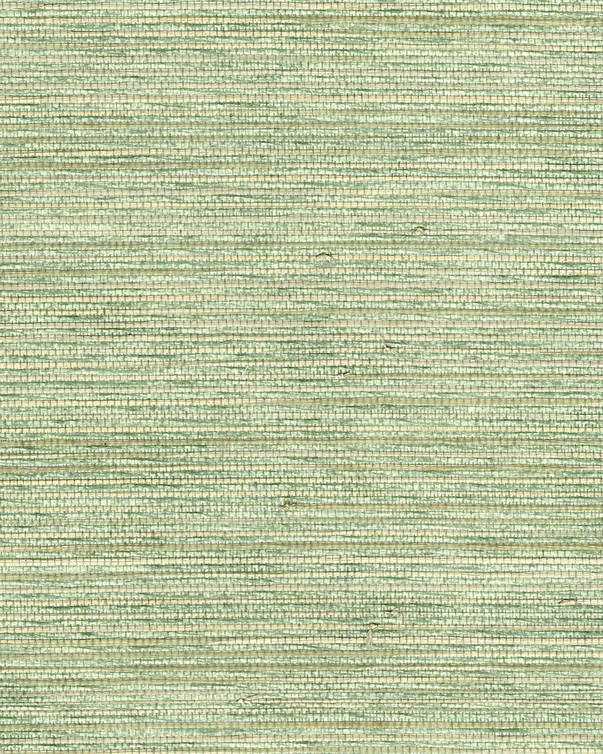 Amira Weave - Sprig - WINFIELD THYBONY Papel pintado