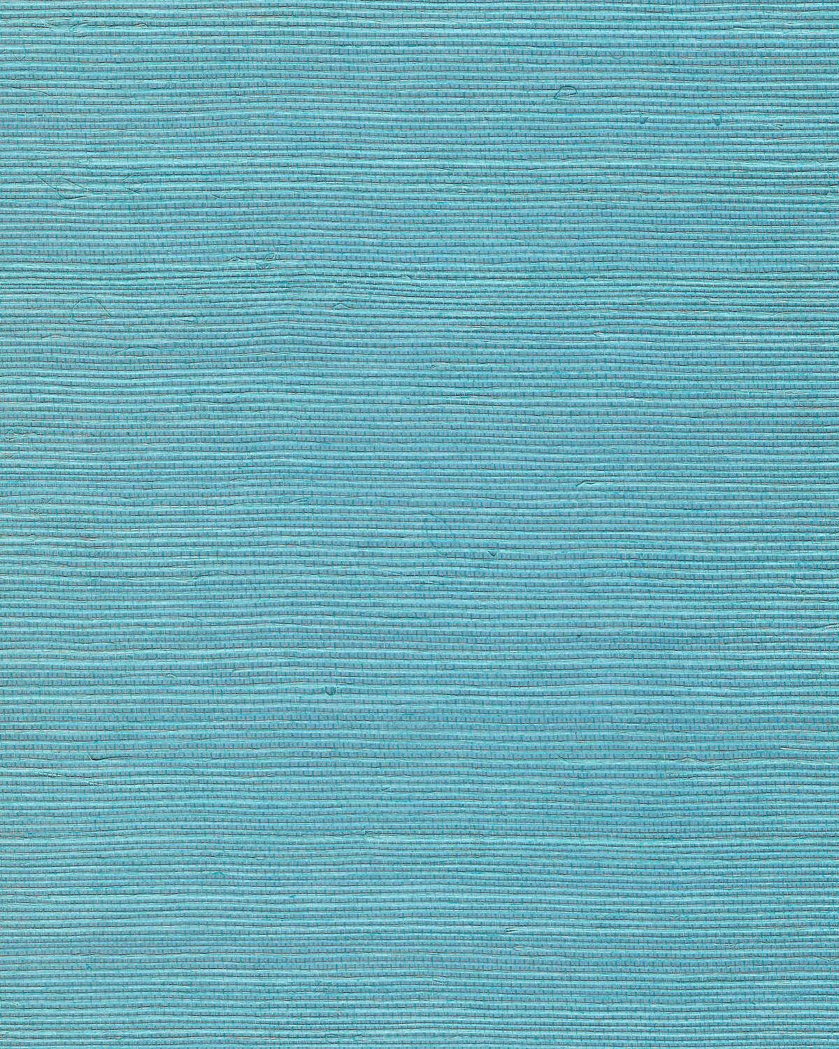 Chiyo Sisal - Turquoise - WINFIELD THYBONY Papel pintado