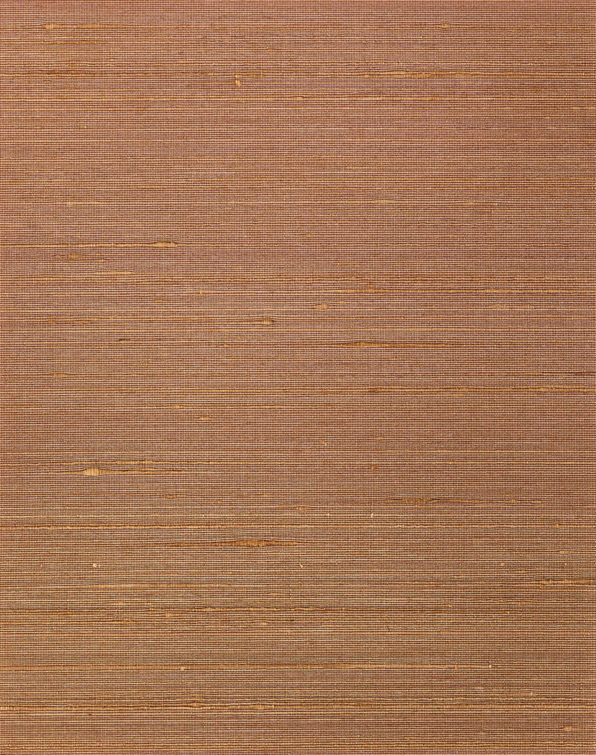 Ambrose - Copper - WINFIELD THYBONY Wallpaper