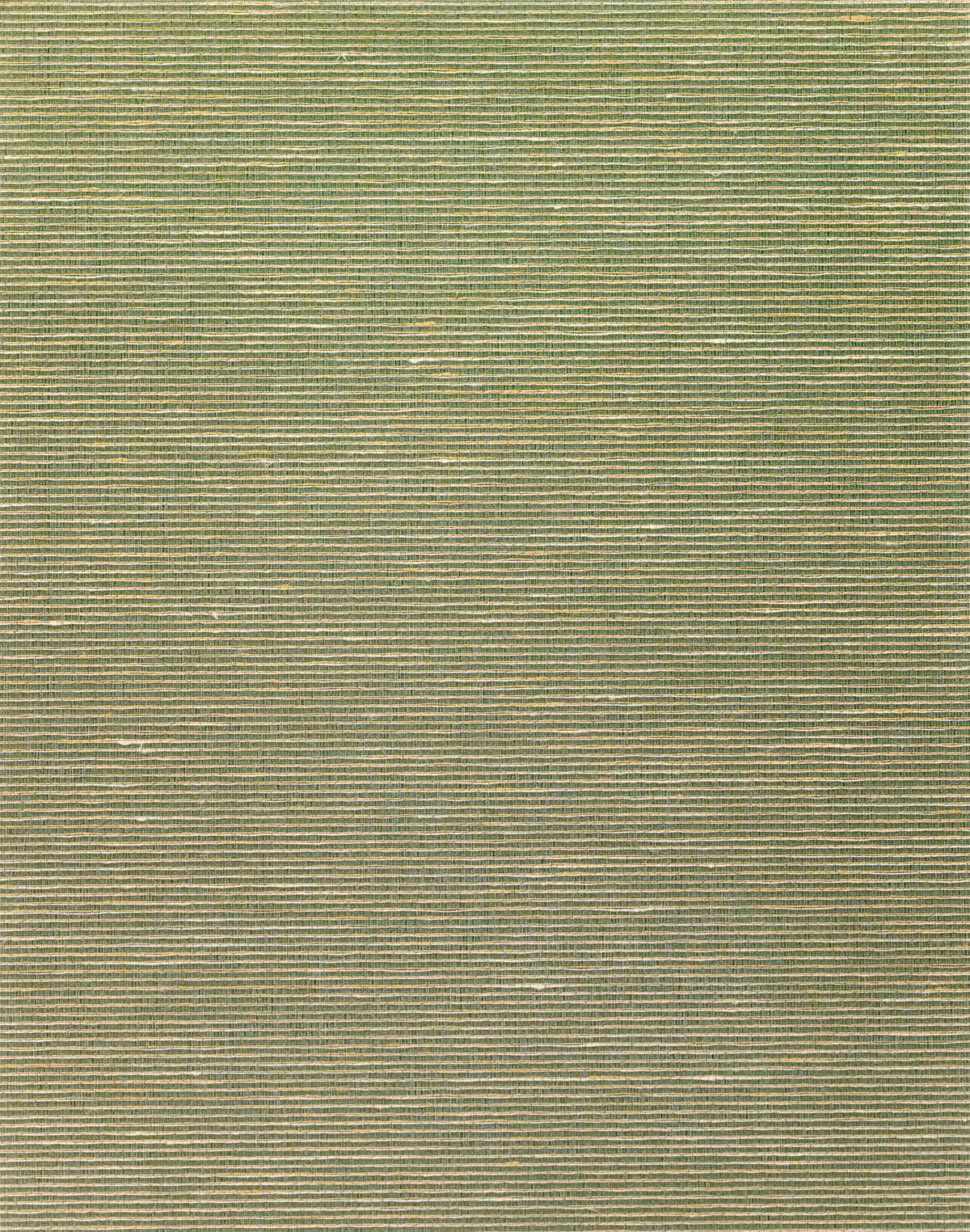 Althea Plain - Olive - WINFIELD THYBONY Wallpaper