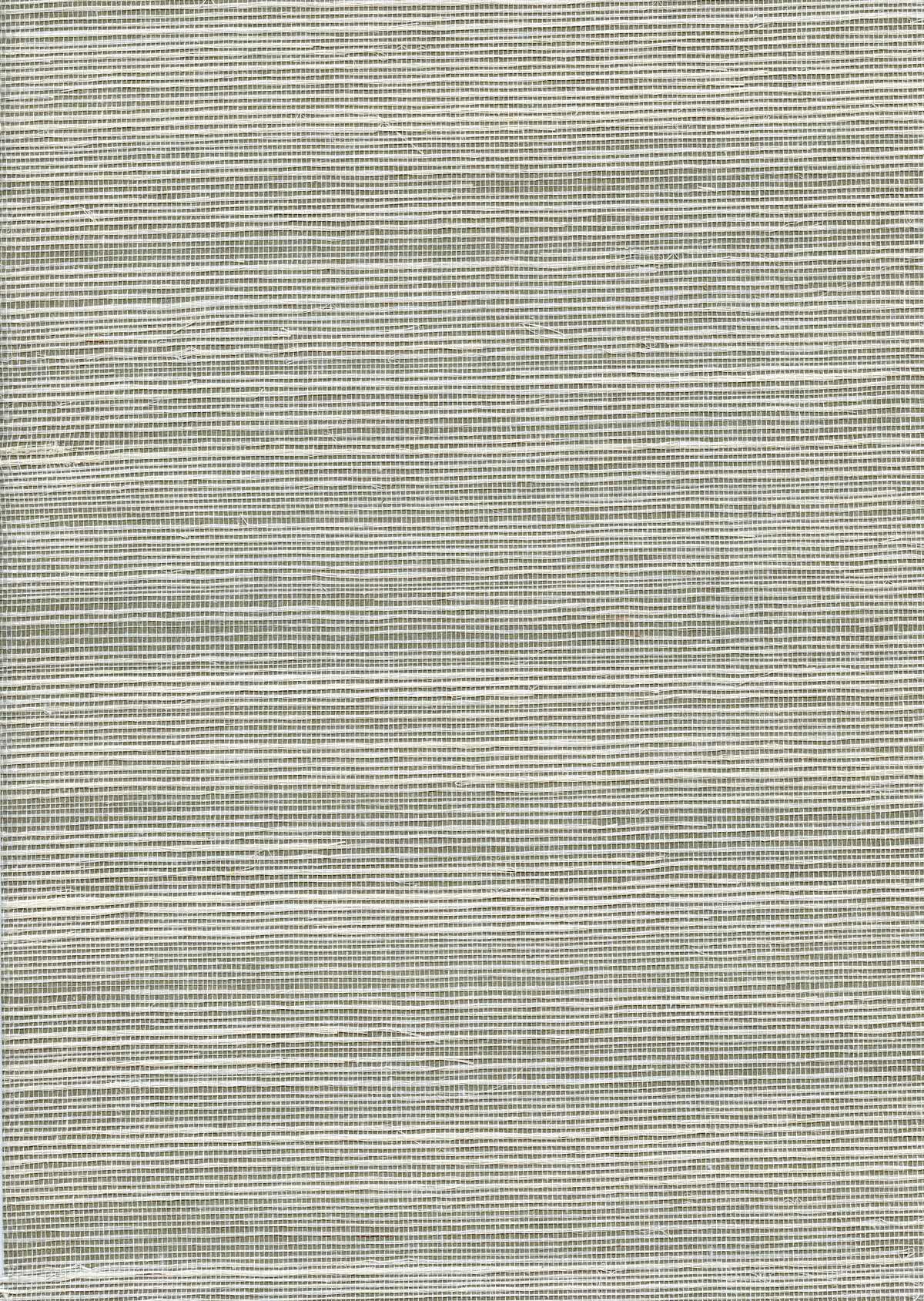 Solo Sisal - Cool Sprig - WINFIELD THYBONY Wallpaper