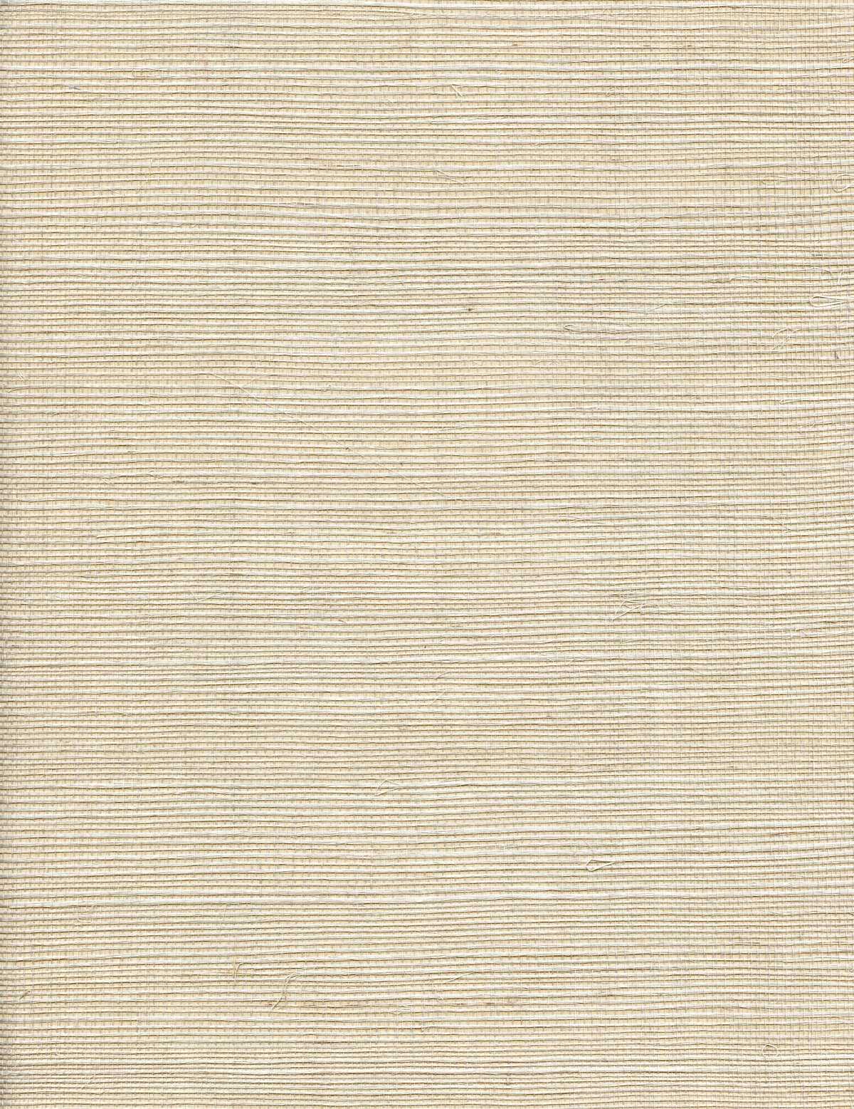 Solo Sisal - Limestone - WINFIELD THYBONY Wallpaper