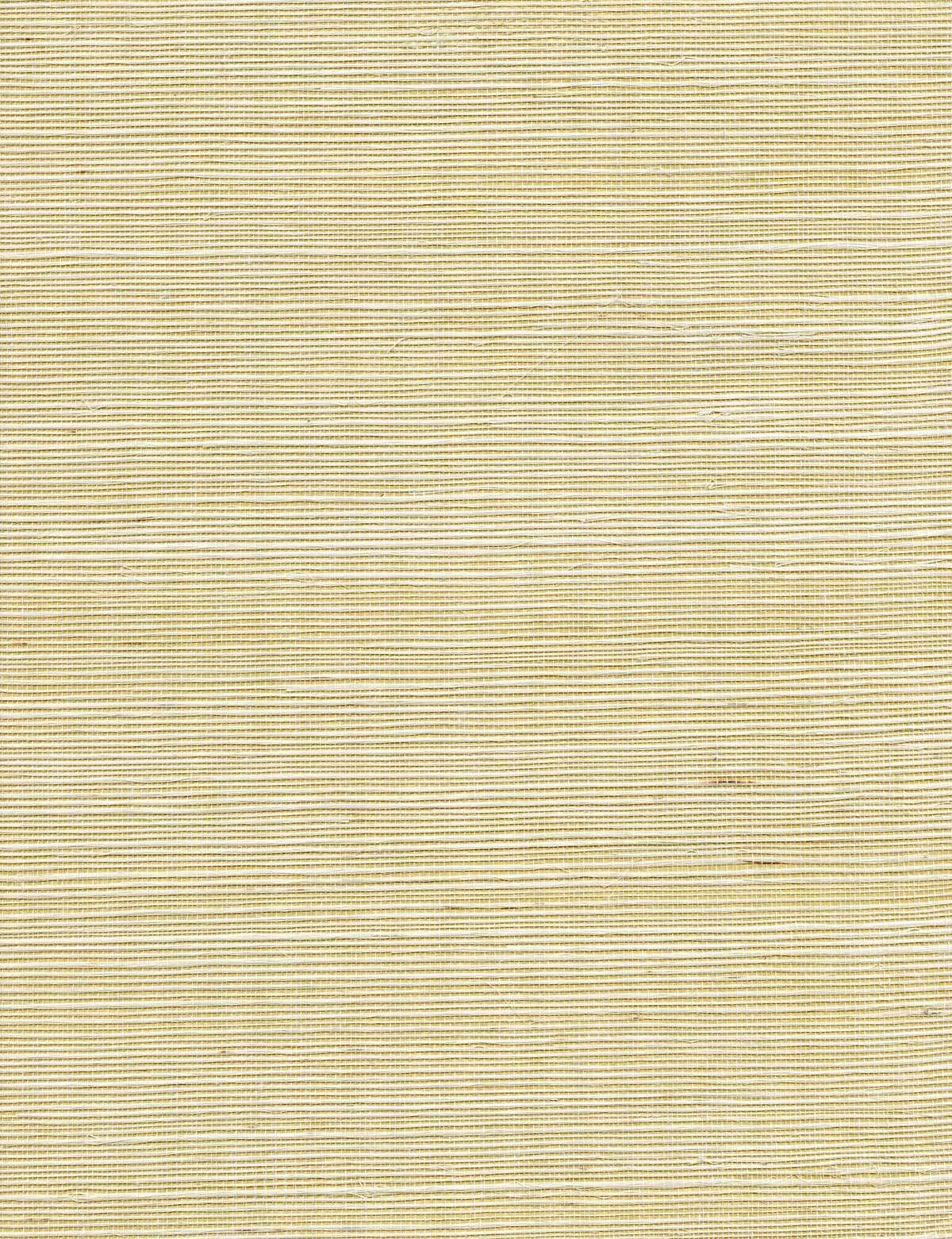 Acapella - Ore - WINFIELD THYBONY Wallpaper