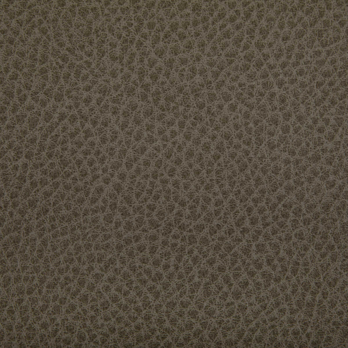 Woolf - Etruscan - KRAVET CONTRACT Fabric