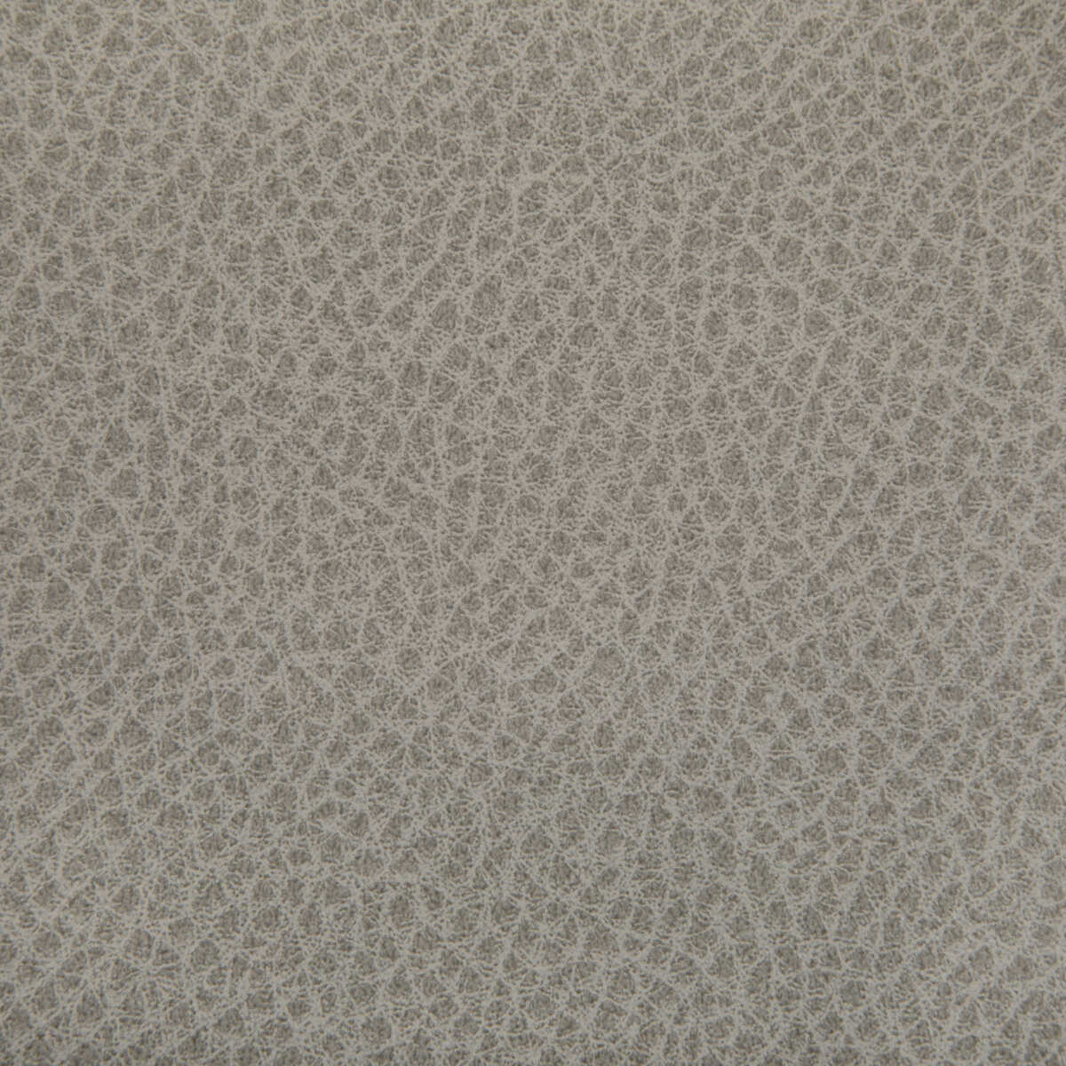 Woolf - Porcini