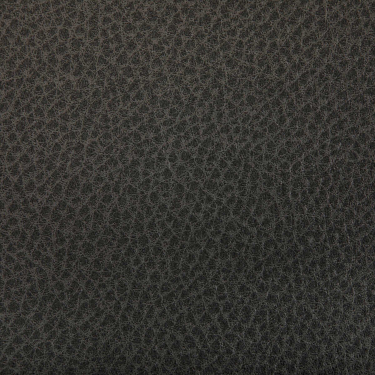 Woolf - Java - KRAVET CONTRACT Fabric