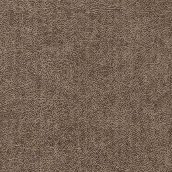 Enduring - Bronco - WINFIELD THYBONY Wallpaper