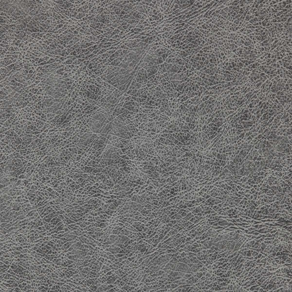 Enduring - Charcoal - WINFIELD THYBONY Wallpaper