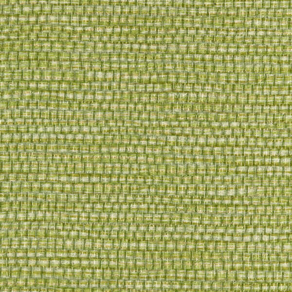 Panama - Envy - WINFIELD THYBONY Wallpaper