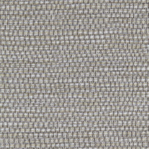 Panama - Ash - WINFIELD THYBONY Wallpaper