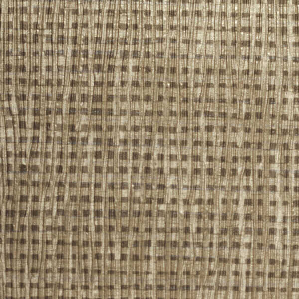 Toussaint - Shawl - WINFIELD THYBONY Wallpaper