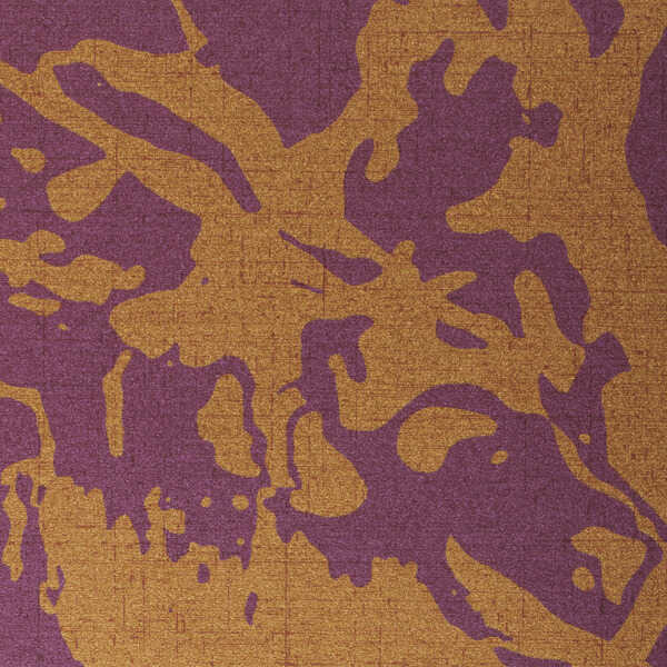 Sublime - Radical - WINFIELD THYBONY Wallpaper