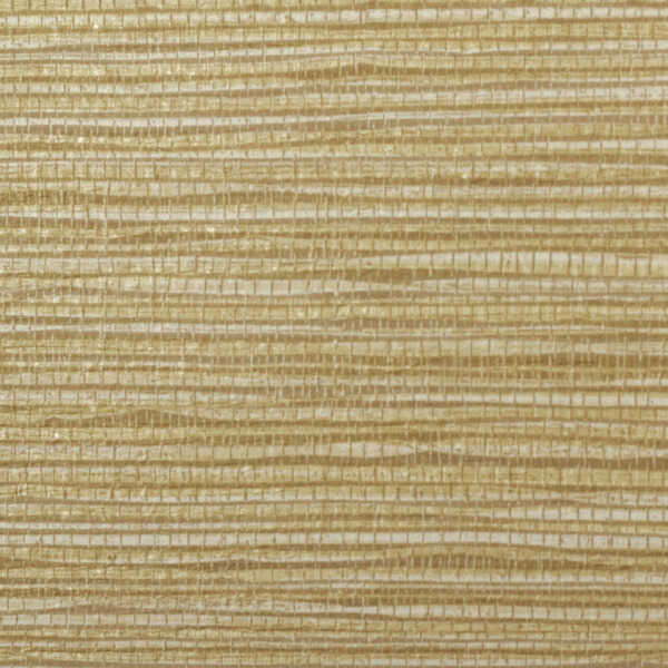 Krauss - Madras - WINFIELD THYBONY Wallpaper