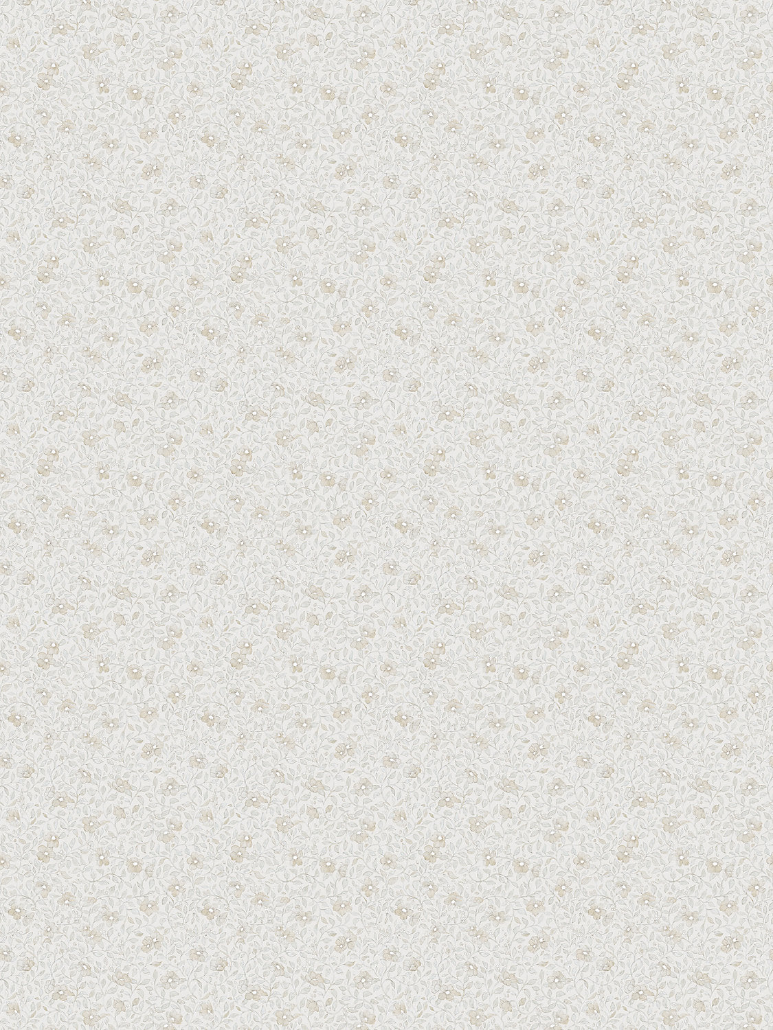Stella - Sandstone