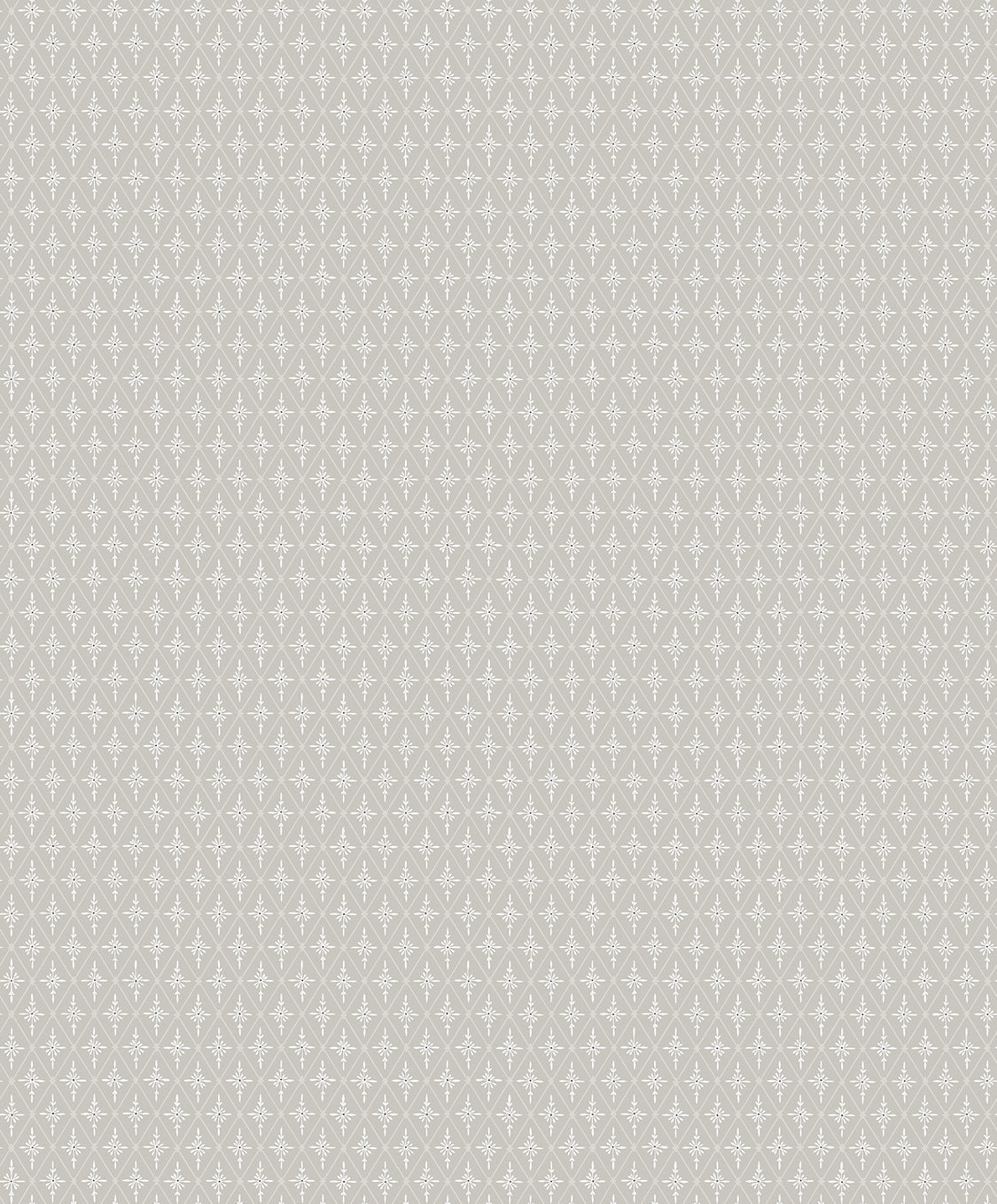 Einar - Grey