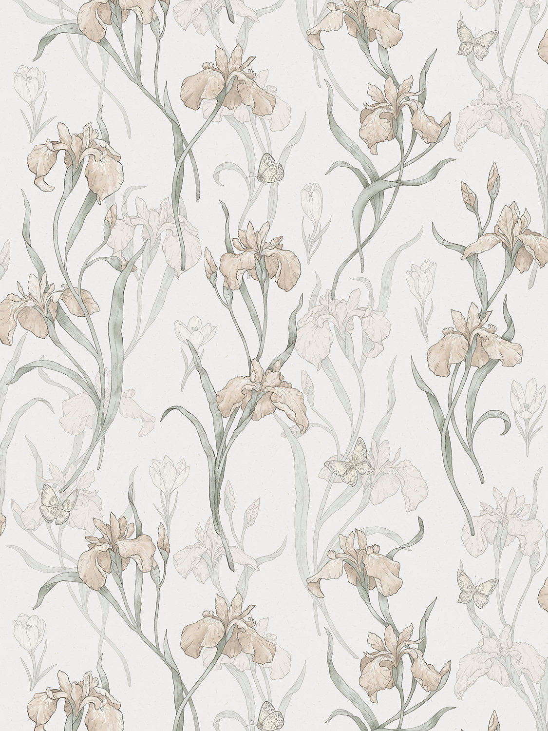 Iris - Powder Pink
