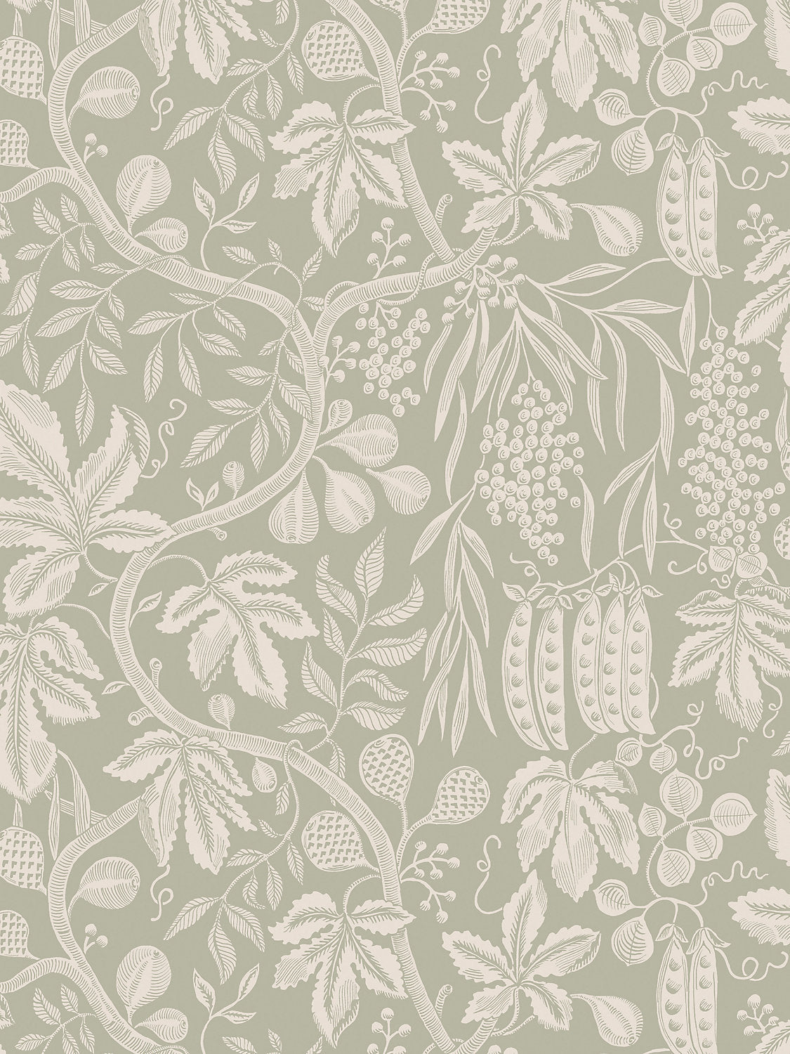 Fig Garden - Garden Green