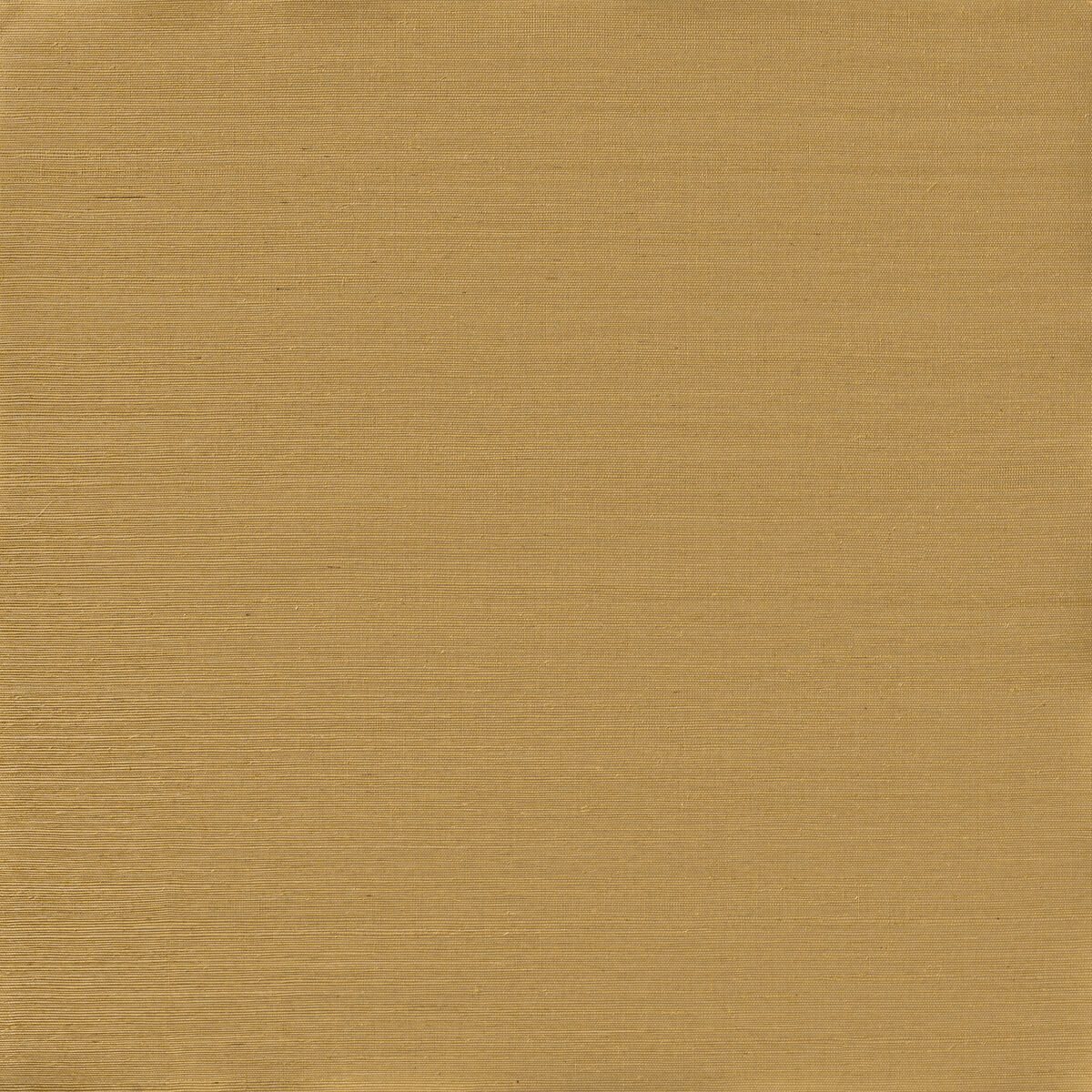 Serenity Sisal - Buckwheat - Winfield Thybony Wallpaper