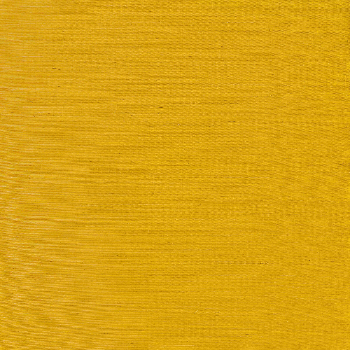 Serenity Sisal - Golden Straw - Winfield Thybony Wallpaper