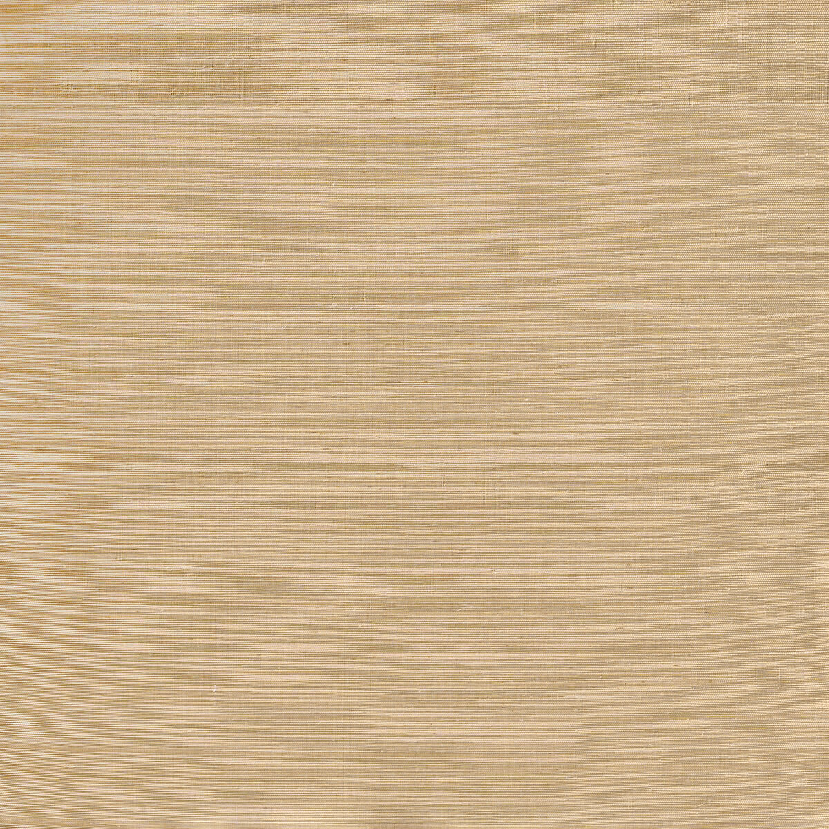 Adobe Sisal - Vellum - Winfield Thybony Wallpaper