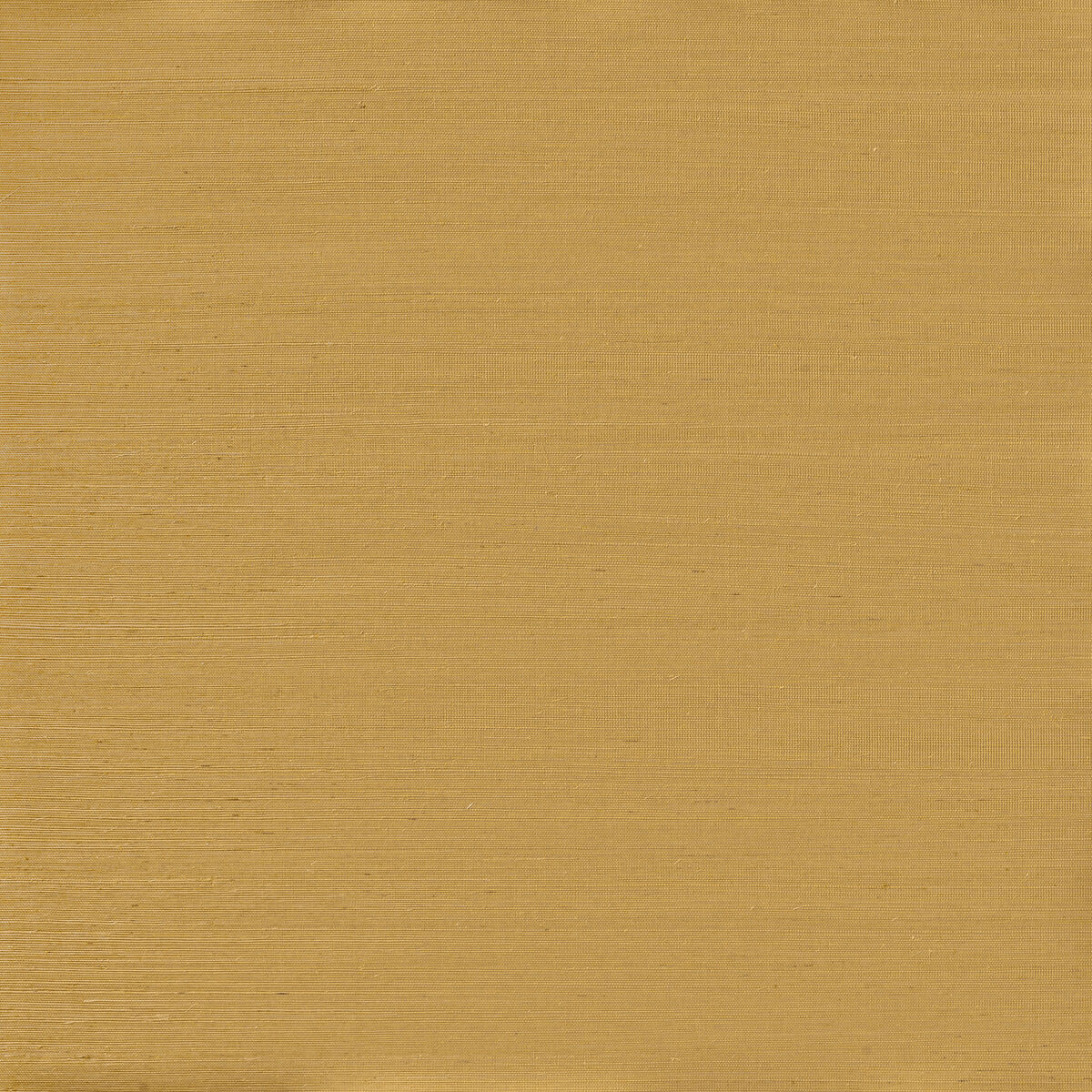 Serenity Sisal - Goldenrod - Winfield Thybony Wallpaper
