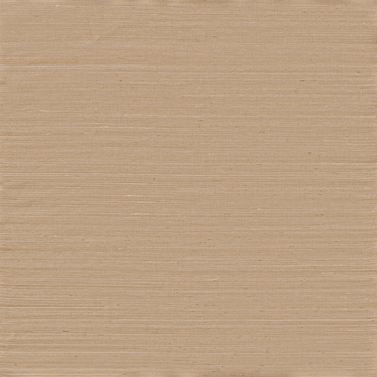 Adobe Sisal - Champagne Husk - Winfield Thybony Wallpaper