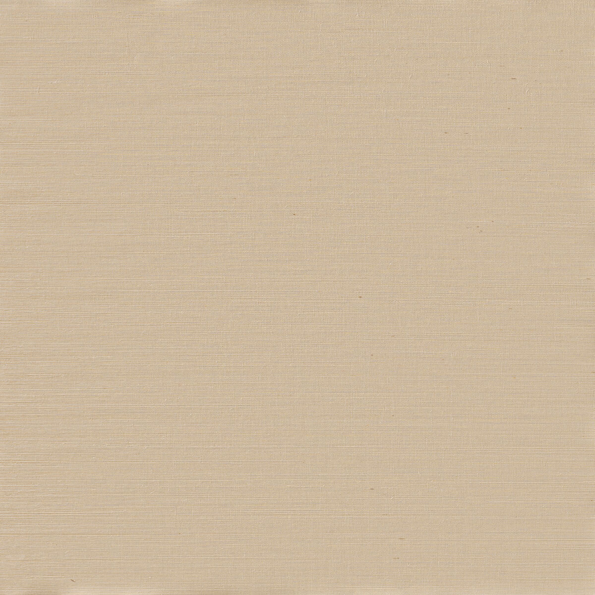 Serenity Sisal - Tallow - Winfield Thybony Wallpaper