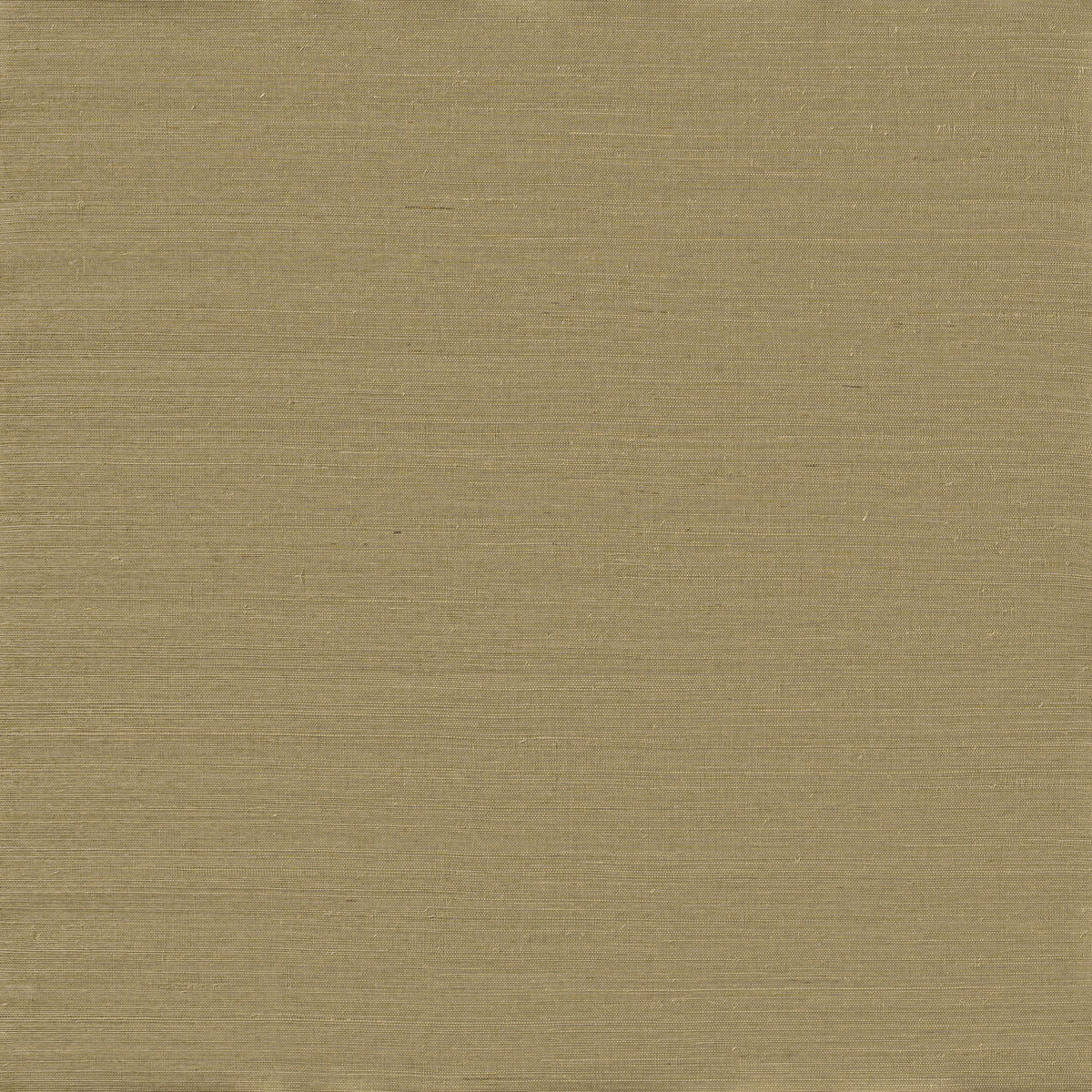 Serenity Sisal - Herb Garden - Winfield Thybony Wallpaper