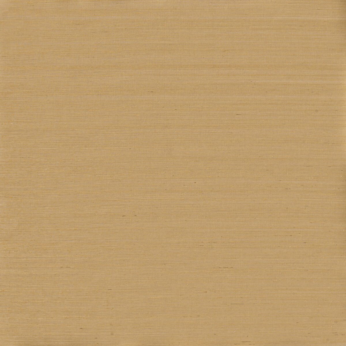 Serenity Sisal - Sugarcane - Winfield Thybony Wallpaper