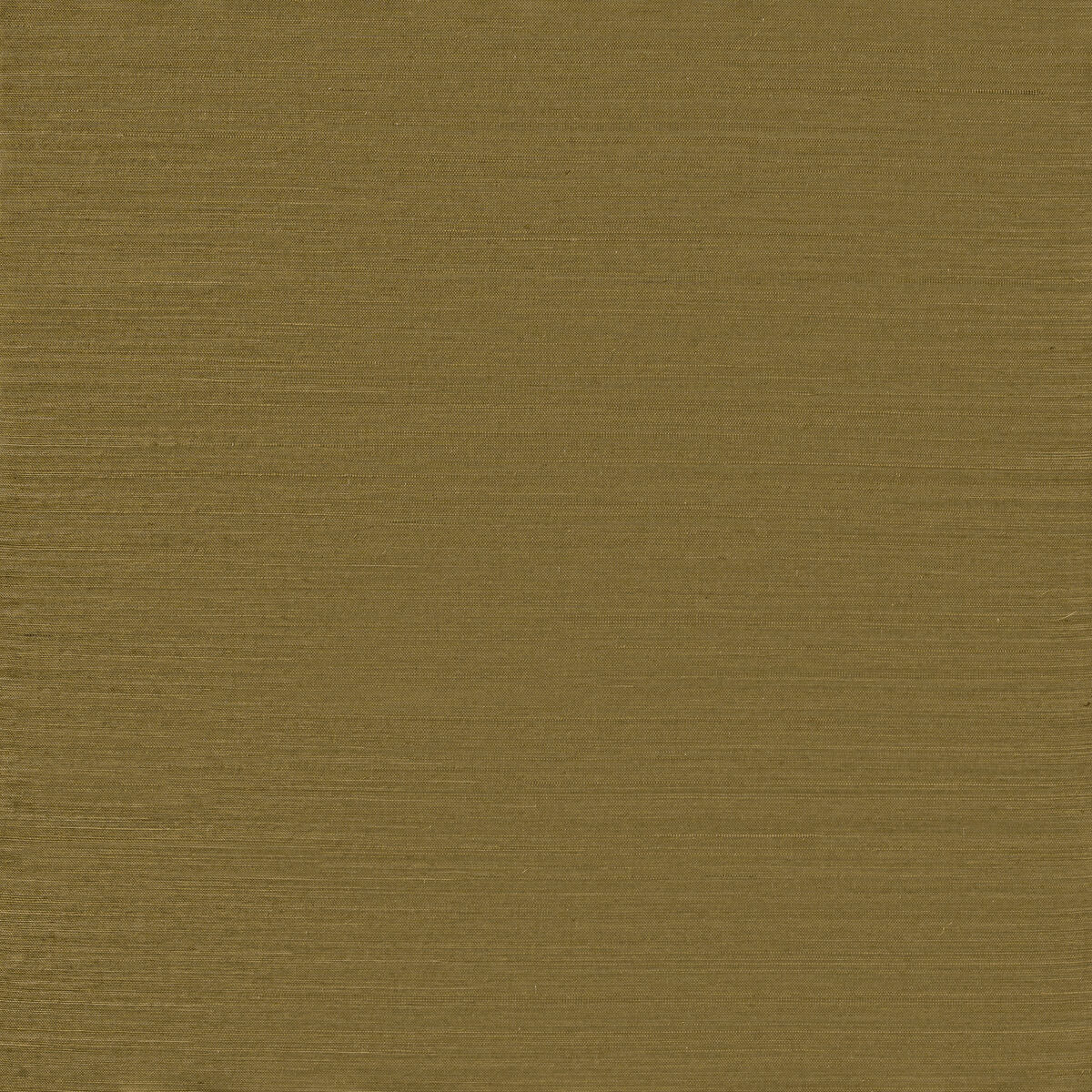 Serenity Sisal - Light Olive - Winfield Thybony Wallpaper