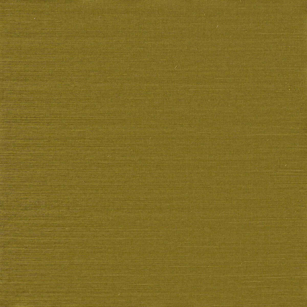 Serenity Sisal - Meadow Green - Winfield Thybony Wallpaper