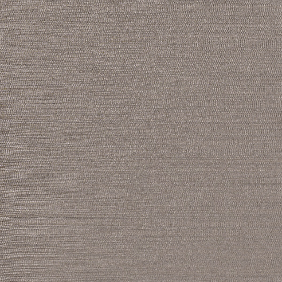 Sunlit Sisal - Platinum - Winfield Thybony Wallpaper